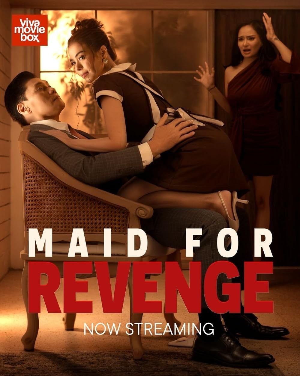 MAID FOR REVENGE